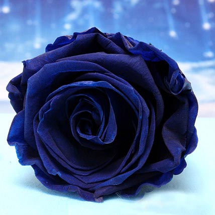 Forever Blue Roses | Gift Forever Blue Rose - Ferns N Petals